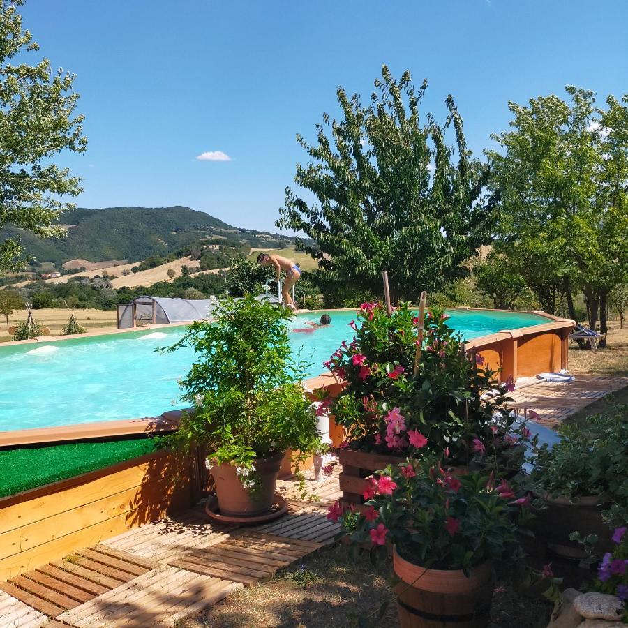 Ferienwohnung Mansarda Viti - Sguardo Su Frontone - Exterior foto